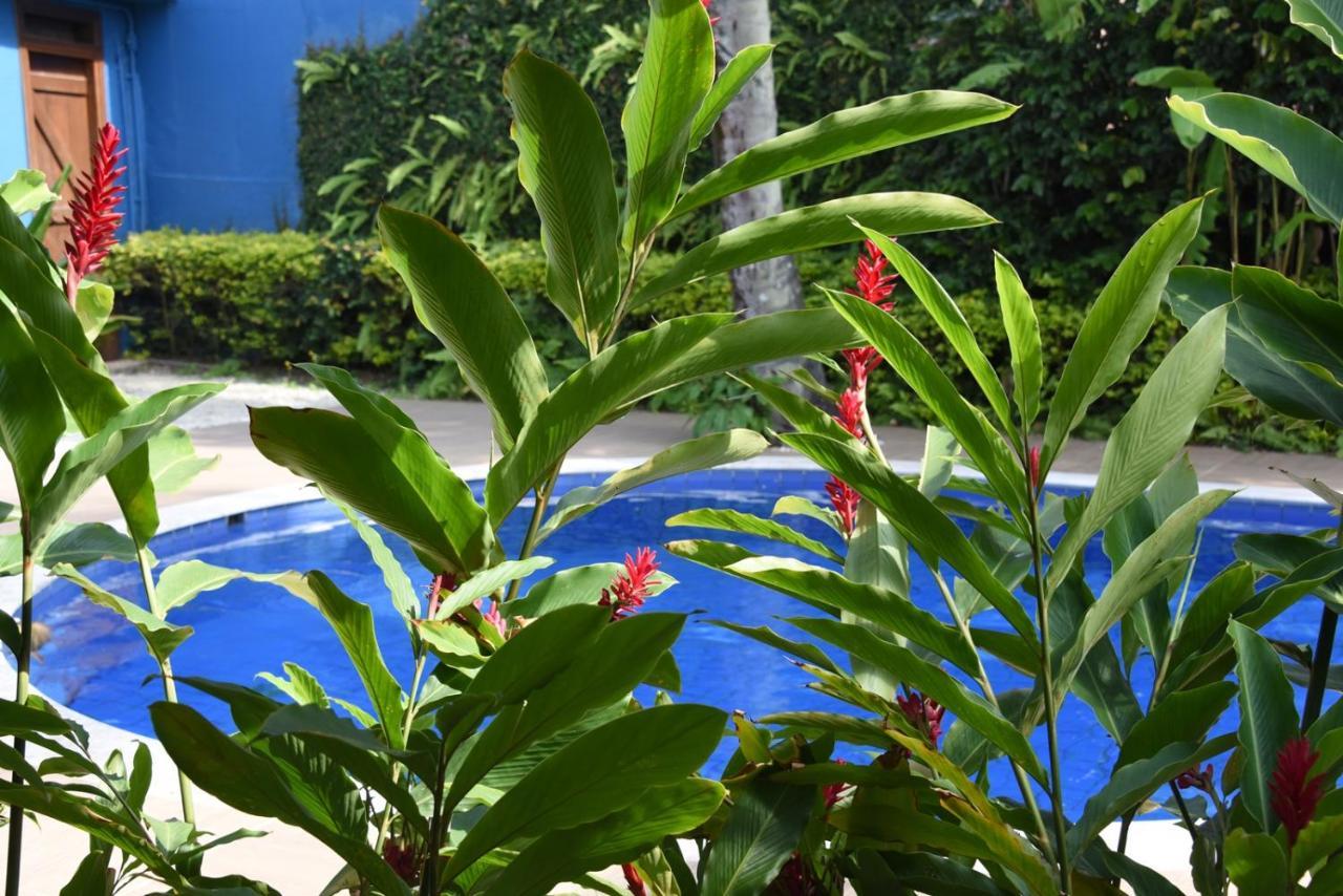 Pousada Verano Sao Sebastiao  Exterior photo
